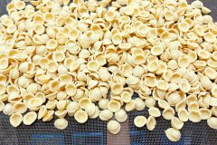 orecchiette-cocozza