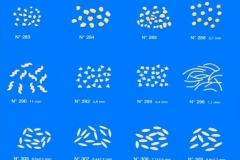 Pasta Sizes Mono Tank Presses